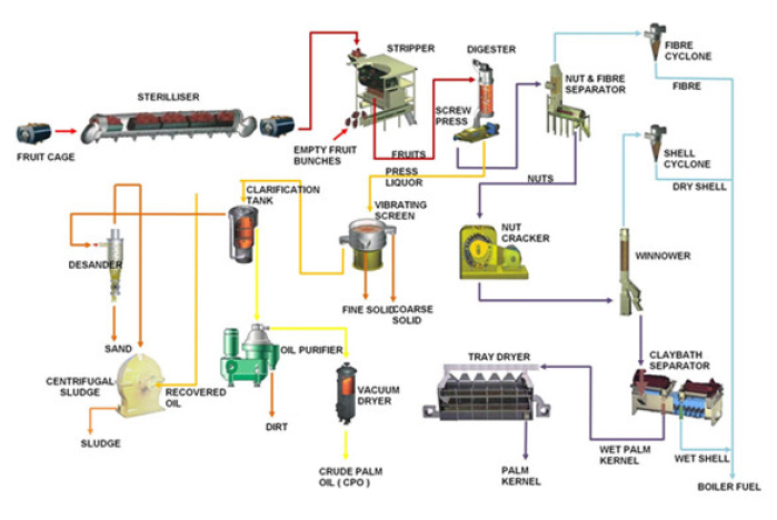 CPO_Process