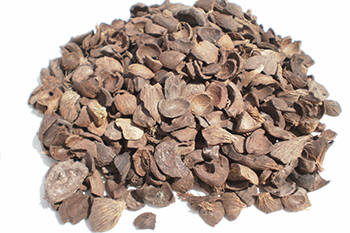 Palm_Kernel_Shell_PKS