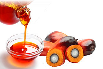 trading_palmoil
